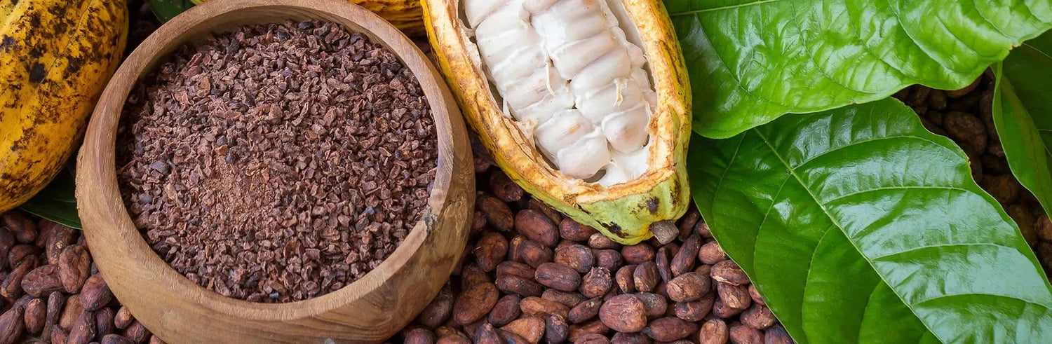 Pure-Raw-Cacao infusion.organic