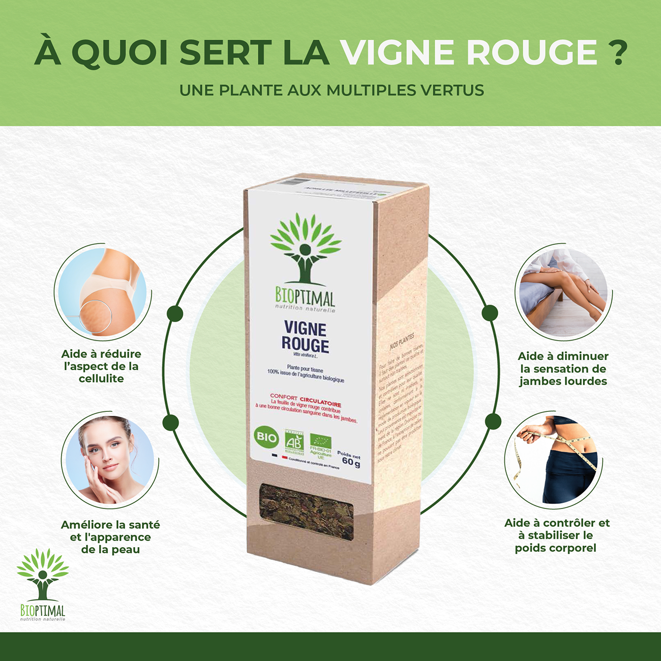 Vigne rouge bio - Bioptimal Bioptimal Infusion infusion.organic