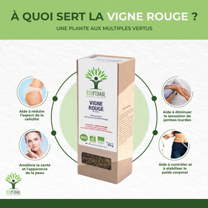 Vigne rouge bio - Bioptimal Bioptimal Infusion infusion.organic