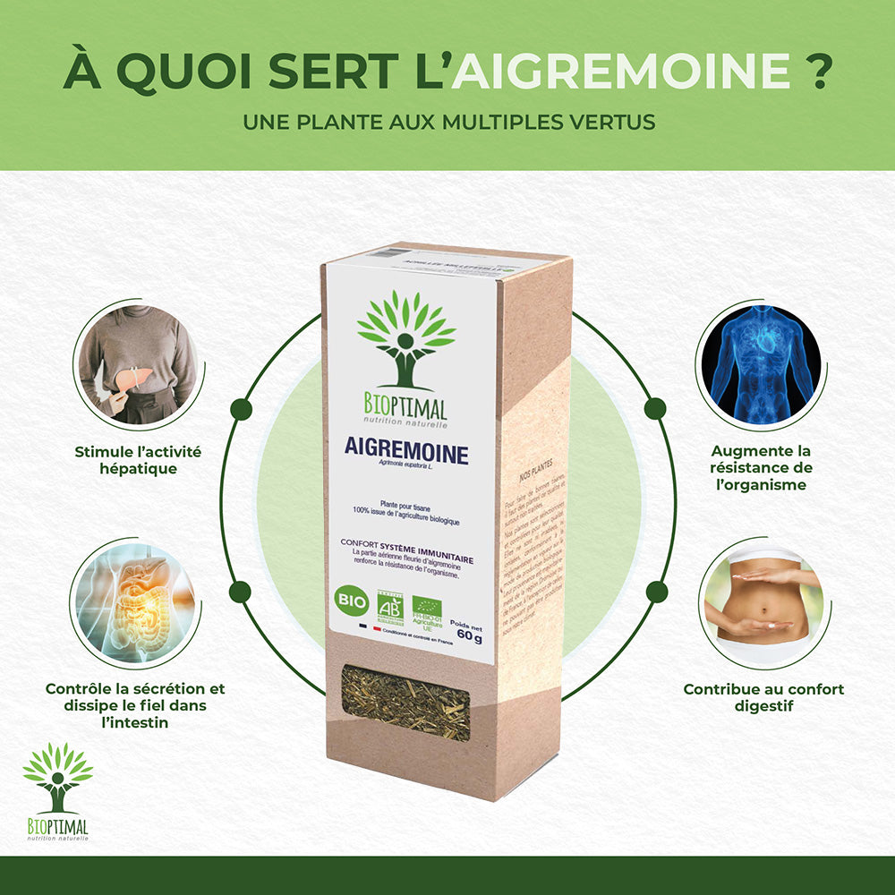 Aigremoine bio - Bioptimal Bioptimal Infusion infusion.organic