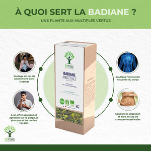 Badiane anis étoilé bio - Bioptimal Bioptimal Infusion infusion.organic