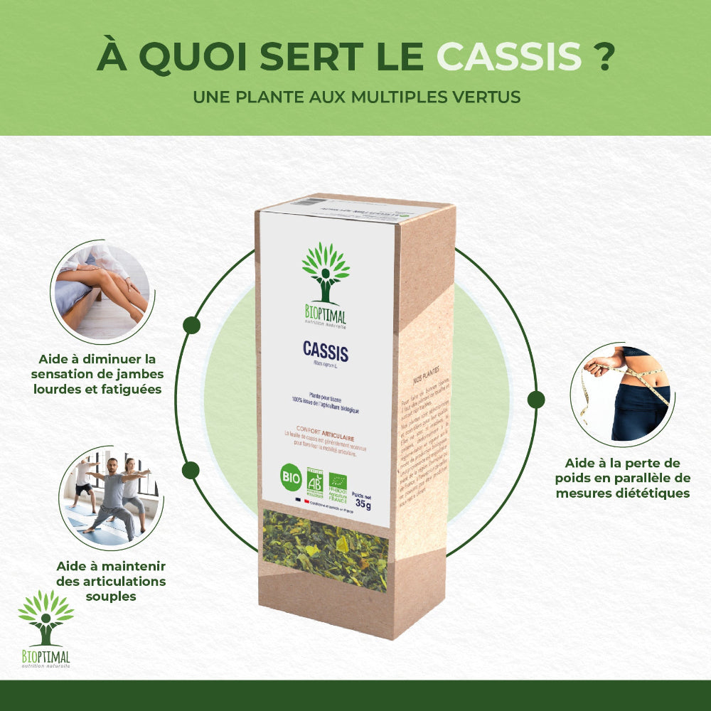 Cassis bio - Bioptimal Bioptimal Infusion infusion.organic