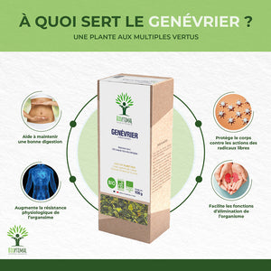 Genévrier bio - Bioptimal Bioptimal Infusion infusion.organic