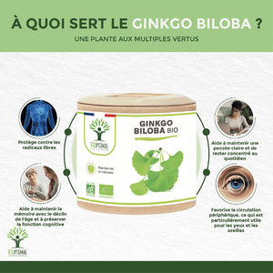 Ginkgo Biloba bio gélules - Bioptimal Bioptimal Complément alimentaire infusion.organic