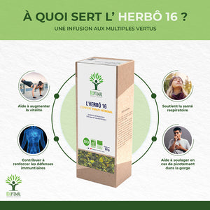 L'herbô 16 Tonus hivernal - Bioptimal Bioptimal Infusion infusion.organic