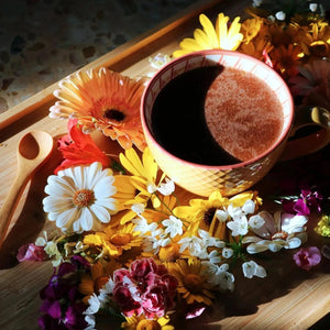 Ceremonial Peruvian Cacao Paste - Cacao - Adaptogens, Cacao, Mushrooms - infusion.organic