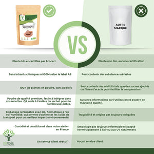 Téguments de Psyllium bio - Bioptimal Bioptimal Superaliment infusion.organic