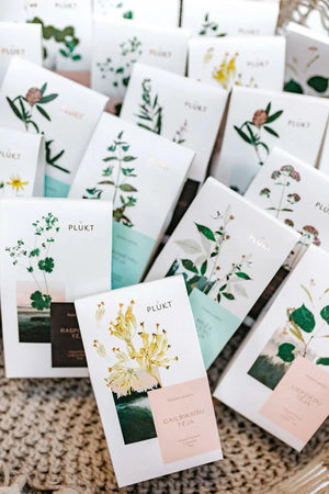 Cowslip Tea - sweet, certified organic Nordic herbal tea-Plūkt-infusion.organic