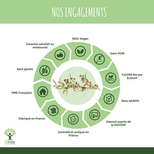 Artémisia bio gélules - Bioptimal Bioptimal Complément alimentaire infusion.organic