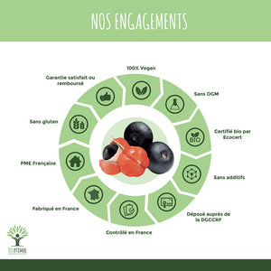 Guarana bio gélules - Bioptimal Bioptimal Complément alimentaire infusion.organic
