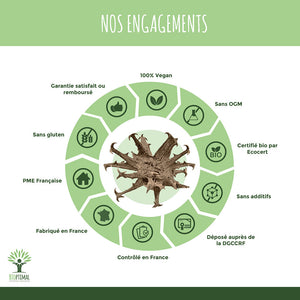 Harpagophytum bio gélules - Bioptimal Bioptimal Complément alimentaire infusion.organic