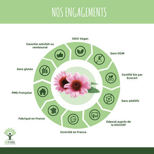 Hiver Tranquille bio gélules - Bioptimal Bioptimal Complément alimentaire infusion.organic