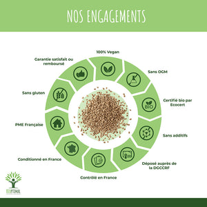 Protéines de chanvre bio poudre - Bioptimal Bioptimal Nutrition sportive infusion.organic