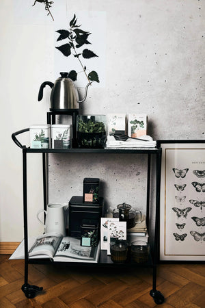 Fireweed Organic Loose herbal Tea | leaf tea | zerowaste-Plūkt-infusion.organic