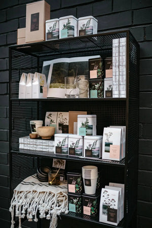 Fireweed Organic Loose herbal Tea | leaf tea | zerowaste-Plūkt-infusion.organic