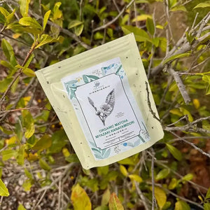 Green Tea Miyazaki Kanayamidori 50 g - Green Tea - Green Tea - infusion.organic