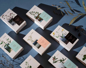 Herbal tea organic tea samples set, loose and bagged teas-Plūkt-infusion.organic