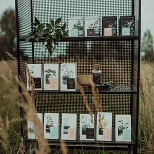 Herbal tea organic tea samples set, loose and bagged teas-Plūkt-infusion.organic