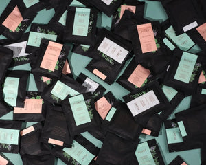 Herbal tea sachets NORDIC GREEN, case of 50pcs, organic-Plūkt-infusion.organic