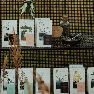 Nordic Green Tea - decaf, morning herbal tea, organic,bagged-Plūkt-infusion.organic