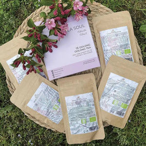 Four Seasons Oolong Tea - Oolong Tea - Oolong Tea - infusion.organic