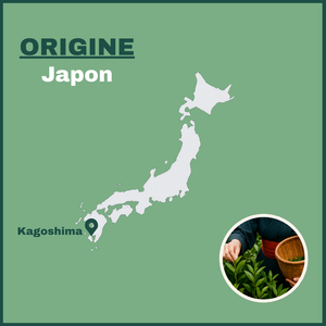 Matcha bio cérémonie poudre - Bioptimal Bioptimal Superaliment infusion.organic