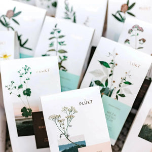 Peppermint Tea - whole loose leaves, Nordic mint-Plūkt-infusion.organic