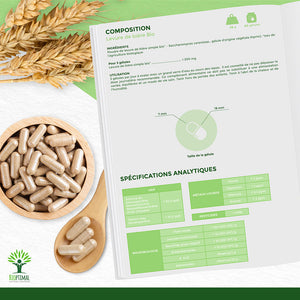 Levure de Bière vivante bio gélules - Bioptimal Bioptimal Complément alimentaire infusion.organic