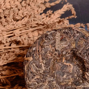 Puer Sheng (raw) Tea Nannuoshan 2021 100g - Pu-Erh-tea - Pu-Erh-tea - infusion.organic