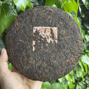 Puer Shu Tea (cooked) Growing Aroma 2019 Cake 357g - Pu-Erh-tea - Pu-Erh-tea - infusion.organic