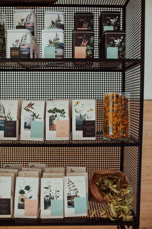 Red Clover Tea -loose tea,wellness tea,organic herbal tea-Plūkt-infusion.organic