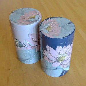 Padma Container 500 ml Assorted Colors - Storage - Storage - infusion.organic