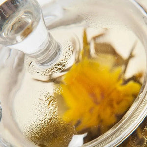 Glass teapot with steel filter 500ml - Teapot - Teapot - infusion.organic