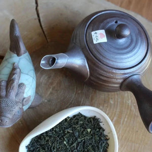 Japanese Tokoname kyusu in dark brown ceramic 270 ml - Teapot - Tea ceremony, Teapot - infusion.organic