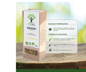 Chiendent bio - Bioptimal Bioptimal Infusion infusion.organic