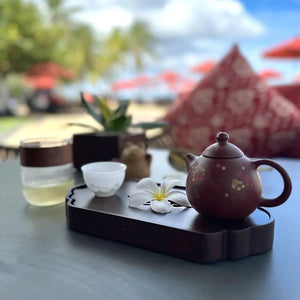 Yixing Brown Clay Teapot with Flowers 210ml - Teapot - Accessories - infusion.organic