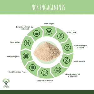 blond psyllium powder - Supplements - Supplements - infusion.organic