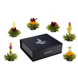 Magnetic box 6 blooming Green tea - Blooming Tea - Blooming Tea, Green Tea - infusion.organic