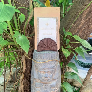 Ceremonial Cacao | Maya Mountain, Belize - Cacao - Cacao - infusion.organic