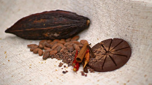 Signature Blend Ceremonial Cacao & Traditional Maya - Cacao - Cacao - infusion.organic