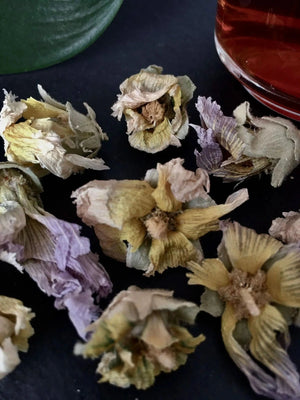 Chef size - Khatmi dried flower - Herbal tea - Herbal tea - infusion.organic