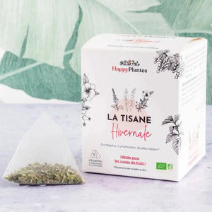 Tonus Thyme Eucalyptus Immunity Winter Infusion, pod - Herbal tea - Herbal tea - infusion.organic