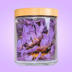 Egyptian Blue Lotus whole flower in Glass Jar - Magical Tea - Magical Tea - infusion.organic