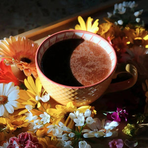 Mushroom Cacao, Ceremonial Grade Reishi & Chaga - Magical Tea - Cacao, Magical Tea - infusion.organic