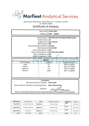 Shilajit Mushroom Blend - Mushrooms, Supplements, Adaptogens - Adaptogens, Mushrooms, Supplements - infusion.organic