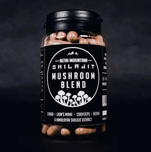 Shilajit Mushroom Blend - Mushrooms, Supplements, Adaptogens - Adaptogens, Mushrooms, Supplements - infusion.organic