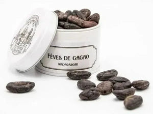 Roasted cocoa bean - Cacao - Cacao - infusion.organic