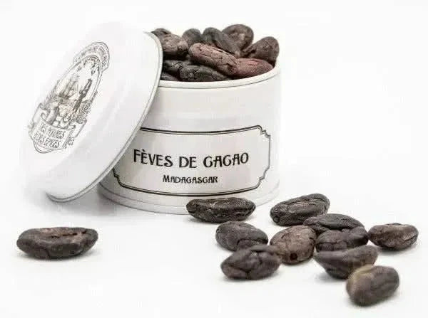 Roasted cocoa bean - Cacao - Cacao - infusion.organic