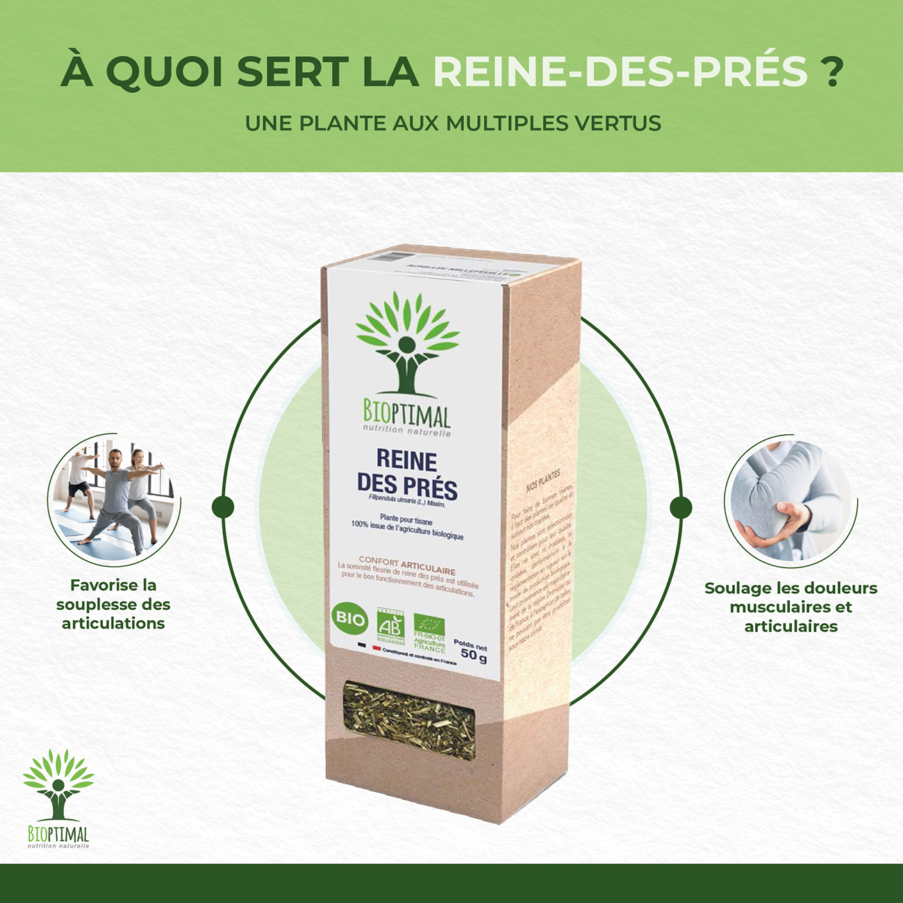 Reine des prés bio - Bioptimal Bioptimal Infusion infusion.organic