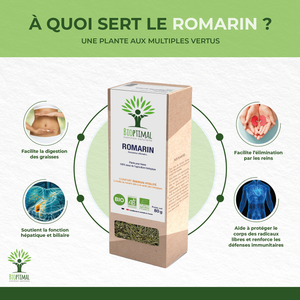 Romarin bio - Bioptimal Bioptimal Infusion infusion.organic